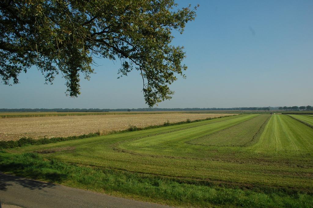 Huize Ouwervelden Wouwsche Plantage Exterior foto